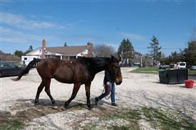 LR-WRF 0402026 Retreat-3347